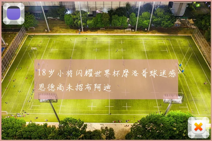 18岁小将闪耀世界杯摩洛哥球迷感恩德尚未招布阿迪